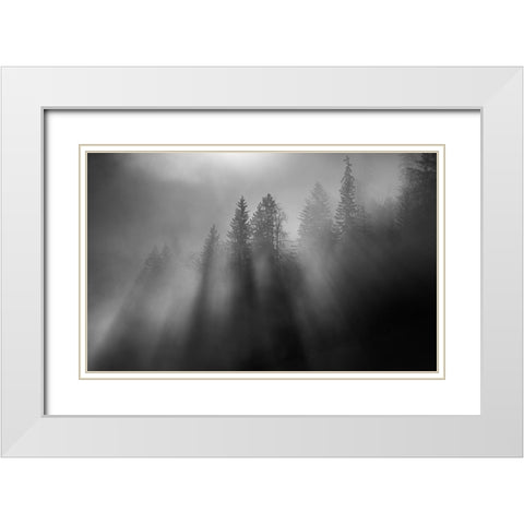 wintersun White Modern Wood Framed Art Print with Double Matting by Dauer, Andy