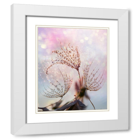 macro White Modern Wood Framed Art Print with Double Matting by Markova, Tanya