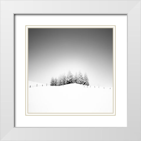 Cohesion White Modern Wood Framed Art Print with Double Matting by Schulz, Alexej
