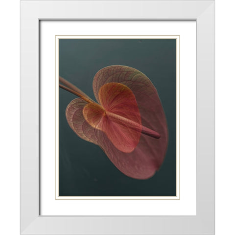 Heart_2 White Modern Wood Framed Art Print with Double Matting by Basso, Donatella