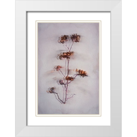 The Decay White Modern Wood Framed Art Print with Double Matting by Kiral, Cicek