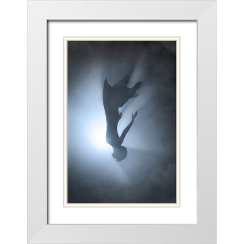 Falling White Modern Wood Framed Art Print with Double Matting by F, Terry