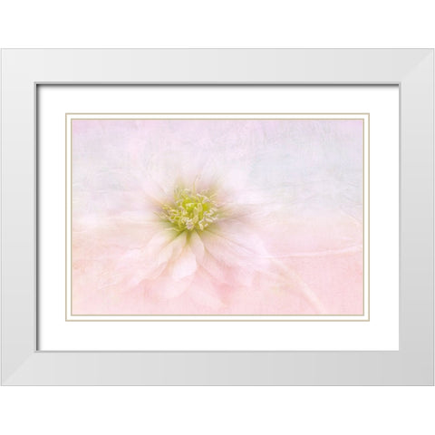 Over The Rainbow White Modern Wood Framed Art Print with Double Matting by Parker, Jacky