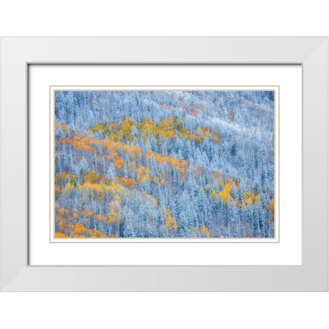 Transition of Seasons White Modern Wood Framed Art Print with Double Matting by Xu, Mei