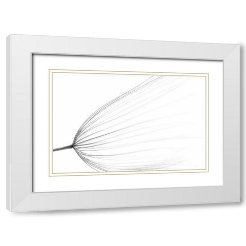 The Big Minimal White Modern Wood Framed Art Print with Double Matting by Terravecchia, Rino