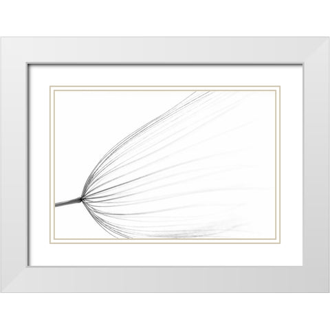 The Big Minimal White Modern Wood Framed Art Print with Double Matting by Terravecchia, Rino