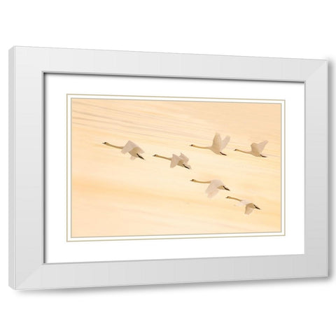 Group Dancing White Modern Wood Framed Art Print with Double Matting by Qin, Feng