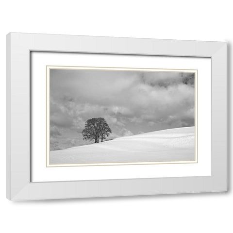 A cloudy winter day White Modern Wood Framed Art Print with Double Matting by Peter Rank, Hans