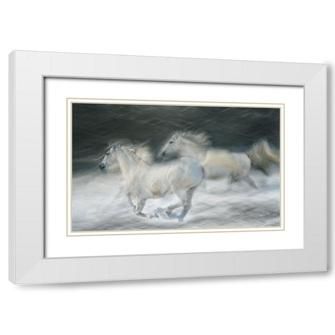 Gallop In A Duel White Modern Wood Framed Art Print with Double Matting by Malovrh, Milan