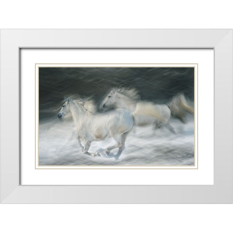 Gallop In A Duel White Modern Wood Framed Art Print with Double Matting by Malovrh, Milan