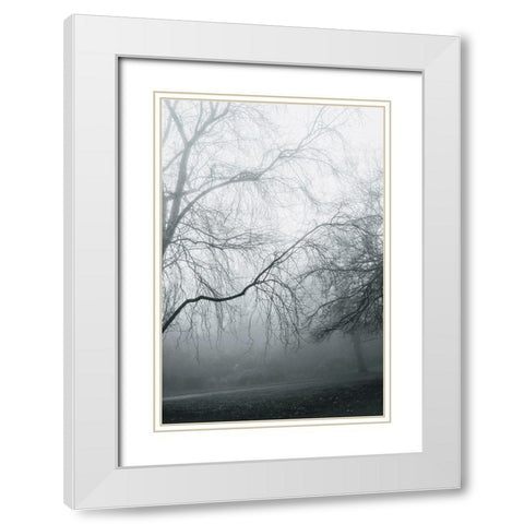 Foggy Winter Morning 2 White Modern Wood Framed Art Print with Double Matting by Allen, Elizabeth