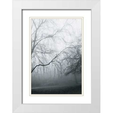 Foggy Winter Morning 2 White Modern Wood Framed Art Print with Double Matting by Allen, Elizabeth