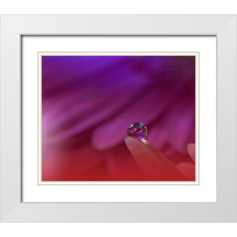 Prism Of Life.. White Modern Wood Framed Art Print with Double Matting by Nan, Juliana