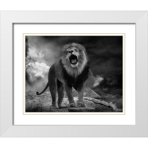Lions Roar White Modern Wood Framed Art Print with Double Matting by Wisniowska, Krystina