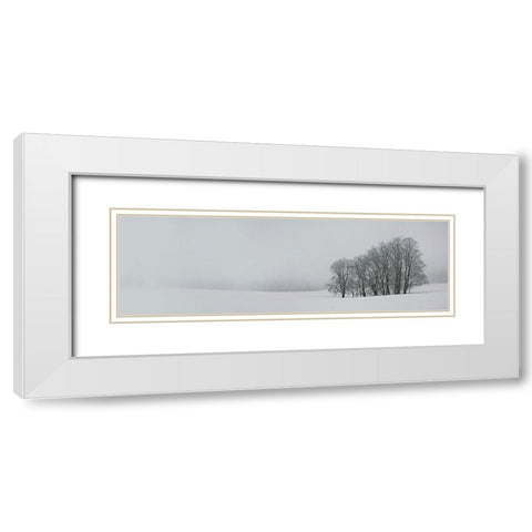 Albhochflaeche White Modern Wood Framed Art Print with Double Matting by Schumacher, Nicolas