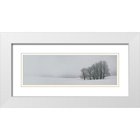 Albhochflaeche White Modern Wood Framed Art Print with Double Matting by Schumacher, Nicolas