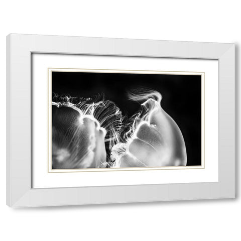 Untitled White Modern Wood Framed Art Print with Double Matting by Berry, Jerry