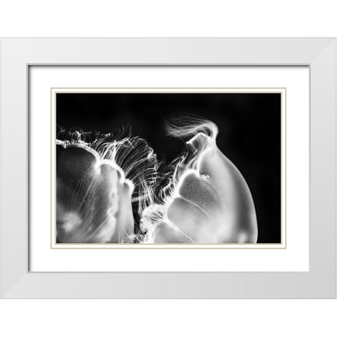 Untitled White Modern Wood Framed Art Print with Double Matting by Berry, Jerry
