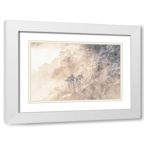 Pinus taiwanensis in the clouds. White Modern Wood Framed Art Print with Double Matting by Cui, Yuan