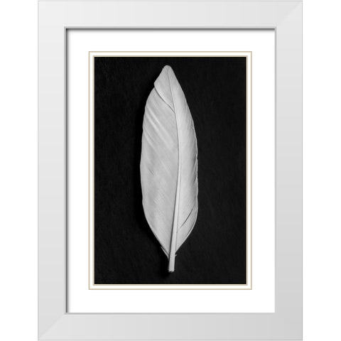 Feather_008 White Modern Wood Framed Art Print with Double Matting by 1x Studio III
