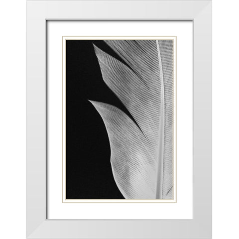 Feather_005 White Modern Wood Framed Art Print with Double Matting by 1x Studio III