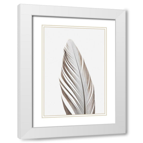 Feather_003 White Modern Wood Framed Art Print with Double Matting by 1x Studio III