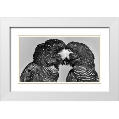 Time to Smootch White Modern Wood Framed Art Print with Double Matting by Moss, Susan