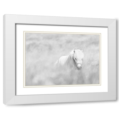 White Horse White Modern Wood Framed Art Print with Double Matting by Paritskiy, Oles