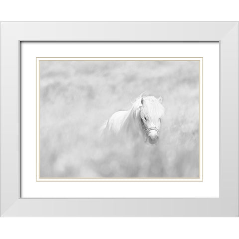 White Horse White Modern Wood Framed Art Print with Double Matting by Paritskiy, Oles