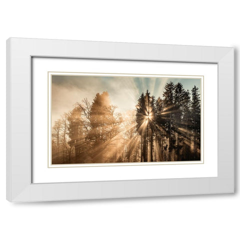 Fading away White Modern Wood Framed Art Print with Double Matting by Eisenmann, Ulrike