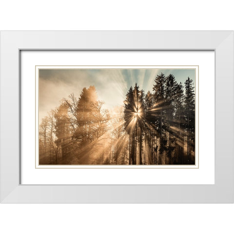 Fading away White Modern Wood Framed Art Print with Double Matting by Eisenmann, Ulrike