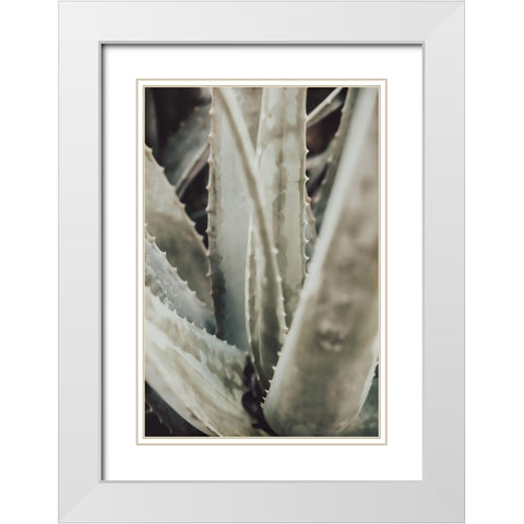 Aloe_001 White Modern Wood Framed Art Print with Double Matting by 1x Studio III