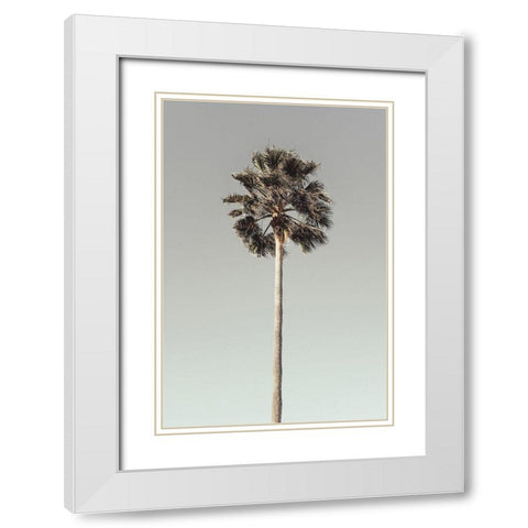 Palm_001 White Modern Wood Framed Art Print with Double Matting by 1x Studio III