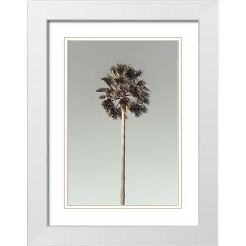 Palm_001 White Modern Wood Framed Art Print with Double Matting by 1x Studio III