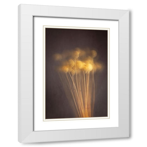 Curious Heads White Modern Wood Framed Art Print with Double Matting by Kiral, Cicek