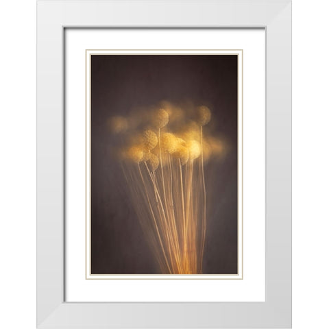 Curious Heads White Modern Wood Framed Art Print with Double Matting by Kiral, Cicek