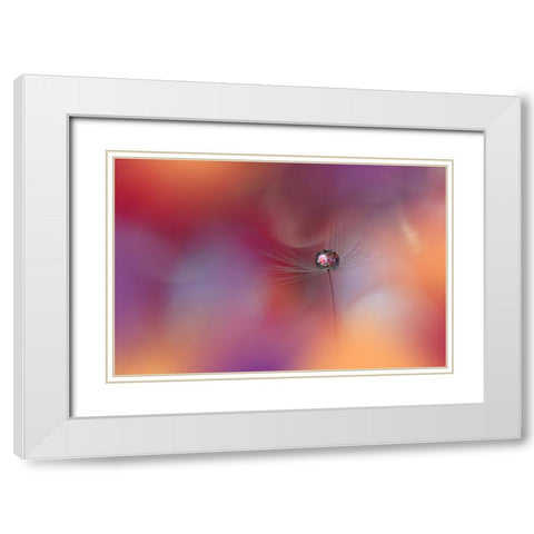 Echoes Of Hope.. White Modern Wood Framed Art Print with Double Matting by Nan, Juliana