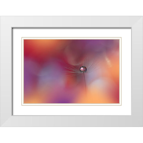 Echoes Of Hope.. White Modern Wood Framed Art Print with Double Matting by Nan, Juliana