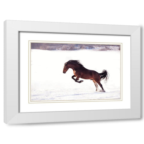 735W 2 White Modern Wood Framed Art Print with Double Matting by Bogdan R, Mihai