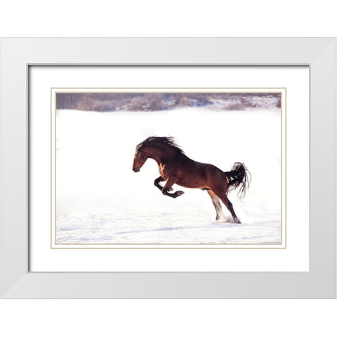 735W 2 White Modern Wood Framed Art Print with Double Matting by Bogdan R, Mihai
