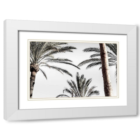 Palm_007 White Modern Wood Framed Art Print with Double Matting by 1x Studio III
