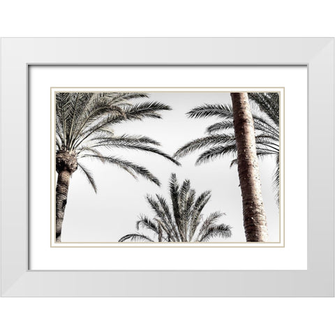 Palm_007 White Modern Wood Framed Art Print with Double Matting by 1x Studio III