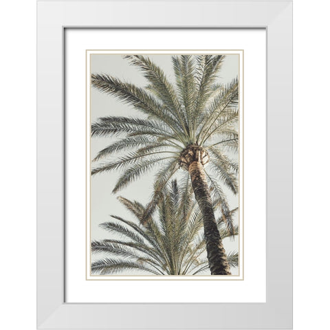 Palm_005 White Modern Wood Framed Art Print with Double Matting by 1x Studio III