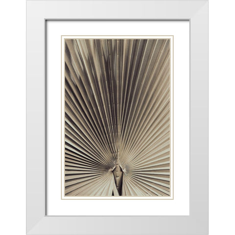 Palmblad_001 White Modern Wood Framed Art Print with Double Matting by 1x Studio III