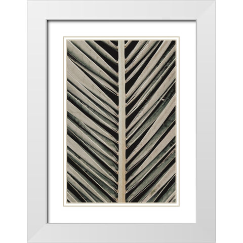 Palmblad_005 White Modern Wood Framed Art Print with Double Matting by 1x Studio III