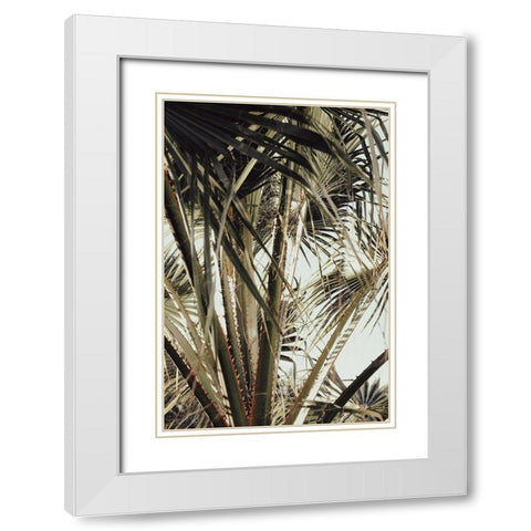 Palmblad_006 White Modern Wood Framed Art Print with Double Matting by 1x Studio III