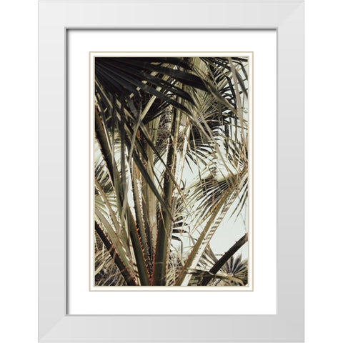 Palmblad_006 White Modern Wood Framed Art Print with Double Matting by 1x Studio III