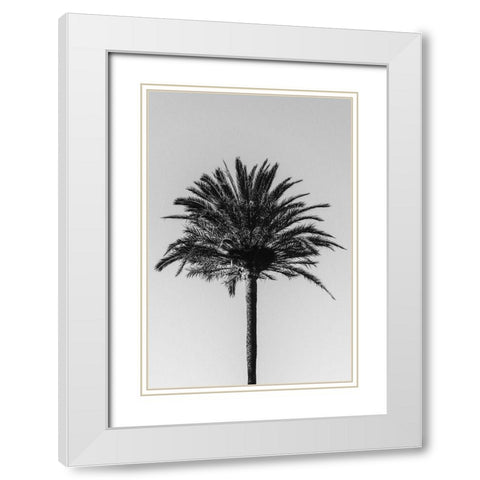 Palm_003 White Modern Wood Framed Art Print with Double Matting by 1x Studio III