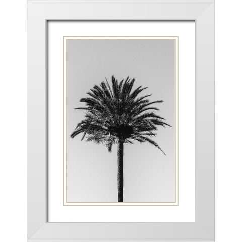 Palm_003 White Modern Wood Framed Art Print with Double Matting by 1x Studio III