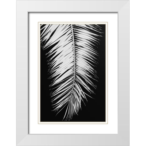 Palmblad_004 White Modern Wood Framed Art Print with Double Matting by 1x Studio III